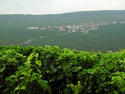 Винодельческие регионы Франции. Часть 3