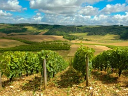Винодельческие регионы Франции. Часть 4