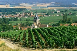 Винодельческие регионы Франции